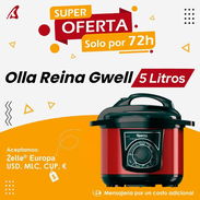 Reina 5L - Img 54749080