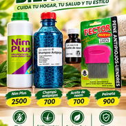 KIT PARA ELIMINAR PIOJOS Y LIENDRES - Img 56734533