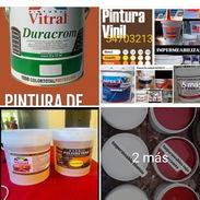 Pintura calidad 54703213 - Img 54972045