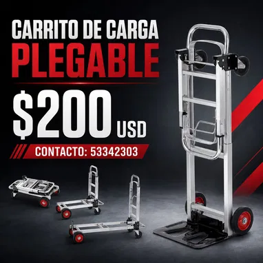 Transfer de 110 v y 220 v - 8/16
