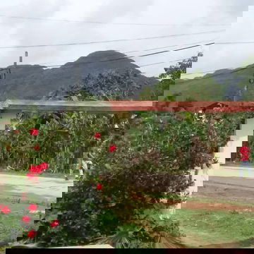 🏡🧾 Villa La Naturaleza de 1 Habitación – Un Refugio Acogedor en Viñales REF 1444