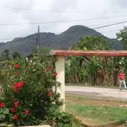 🏡🧾 Villa La Naturaleza de 1 Habitación – Un Refugio Acogedor en Viñales REF 1444 - Img 52431597