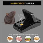 Ratoneras - Img 50811694