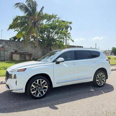Vendo o negocio, Hyundai Santa Fe,  callygrafhy 2023 - Img 124908471