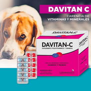 Vitamina Davitan C 60tbl. - Img 56474601