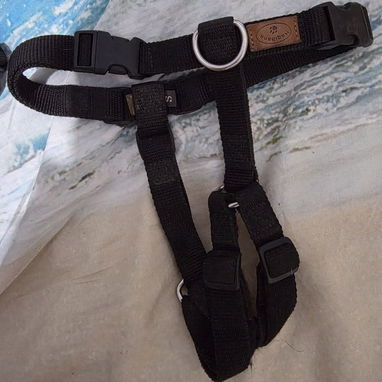 Arneses y collares para perros - Img 121201215