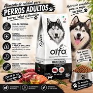 Comida/pienso para perros y gatos - Img 58057702