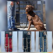 Collares para perros grandes y medianos más correa - Img 51488388