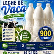 Leche de vaca - Img 56950802
