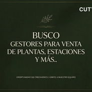 Busco gestores de venta para plantas, estaciones de energía, Kits y paneles solares, generadores, baterías y más... 💱co - Img 54378277