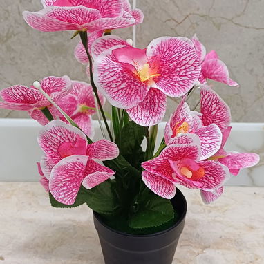 🧧Maceta con orquídeas💫 📏30cm /12 usd🧧 - 2/4