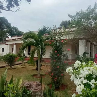 Casa con Finca en Artemisa 2600m² + finca asociada. - Img 112000200