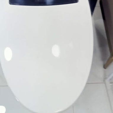 Taza sanitaria inteligente  pvhab - 2/2