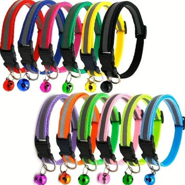 Collares - Img 113925909