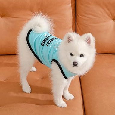 Camisetas para Mascotas / Talla XS y L - 4/4