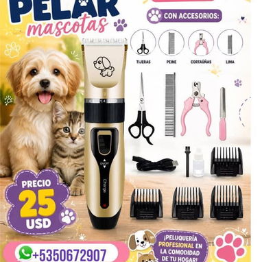 🐶🐱✨ ¡PELUQUERÍA DE MASCOTAS EN CASA! ✨🐱🐶 ¿Quieres que tu peludito luzca limpio, bonito y bien arregladito? 🥰✂️🐾 Te - 2/3