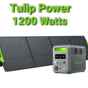 Estación de energía tulip - Img 56969871