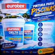 Pintura piscina - Img 57496206