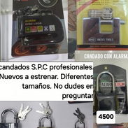 Candados de Alta Seguridad. Gran variedad. Antizizayas-Alarma-Disco de moto y bicimoto - Img 55803881