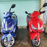 Motos Nippon SE2 - Img 45644790