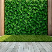 Follaje Medida 40x60 Precio 35 usd admon - Img 58061426