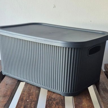 Caja Organizadora con Tapa (cv) - Img 101759939