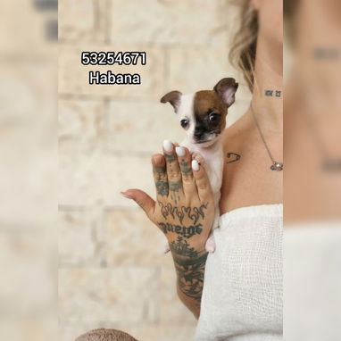 🎁El MEJOR REGALO 🎁 💜 - 5/5