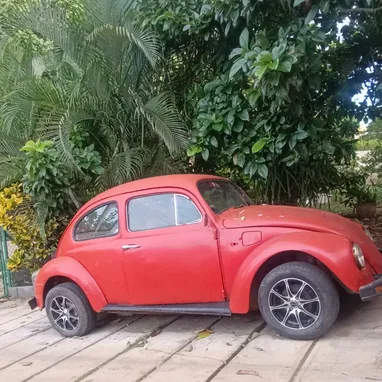 Vw 1600 - 2/3