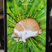Xiaomi Redmi Note 8 - Img 55767922