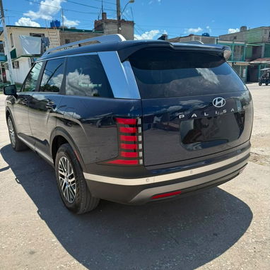 Hyundai palisade - 2/5