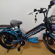 BICICLETAS MISHOZUKYI💥 ✅Bateria: Lithium PO4 extraible, 48V x 20ah ✅Velocidad Máxima: 50 km/h ✅Llantas/Rines: Rin 20 x - Img 56408360
