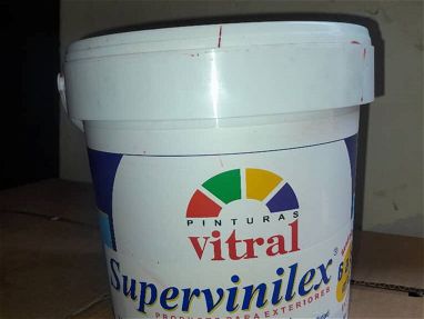 Supervinilex - Img 70990666