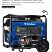 Planta Westinghouse 6600w - Img 56534037