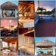Vive un Romance perfecto - Img 48168078