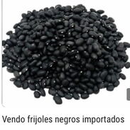 Frijoles negros importados 330 CUP ala libra - Img 45592844