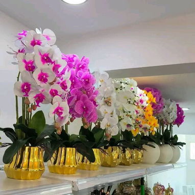 ๐๐๐VARIEDAD DE FIGURAS HERMOSAS PARA DECORAR TU HOGAR๐๐๐๐๐ฅ๐โ๏ธโ๏ธ - Img 125272138