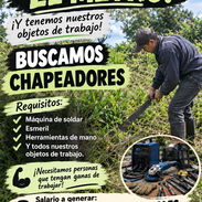 BUSCAMOS CHAPEADORES/PERSONAS COMPROMETIDAS CON EL TRABAJO - Img 58111065