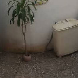 VENDO APARTAMENTO EN PLAYA , ( interior 1 , en pasillo ).* - 5/6