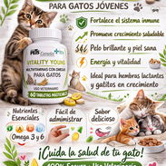 Multivitaminas para gatos - Img 58379885
