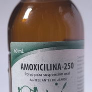 Amoxicilina 250 polvo para suspensión oral - Img 55722273