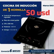 COCINA DE INDUCCIÓN - Img 55458493