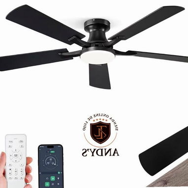 Ventilador de techo - 3/6
