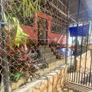 apartamento en un primer nivel ubicado en el Reparto San Agustín/ la lisa - Img 58064579