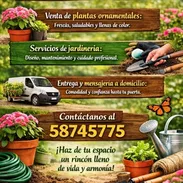 Servicios de jardinería - Img 55029179