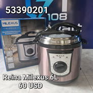 Olla reina milexus 6L - Img 57202924