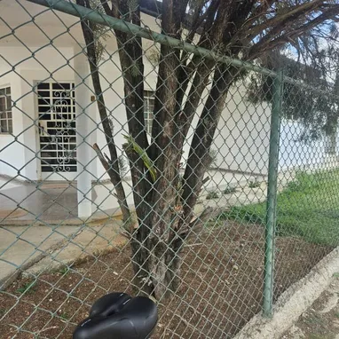 Inmobiliaria Casa de Ensueños, Panamerica 40mil - Img 122548853