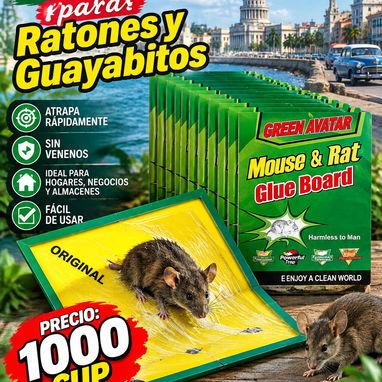 Veneno para Ratones y trampas de pegamento - 6/6