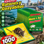 Trampas de pegamento para Ratones y Ratas - Img 58332348