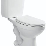 Tasas de de baño tradicional y monolítica - Img 52225336