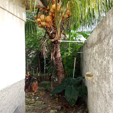 Se vende casa en el reparto juan Manuel Márquez Sta fe playa - Img 125740123